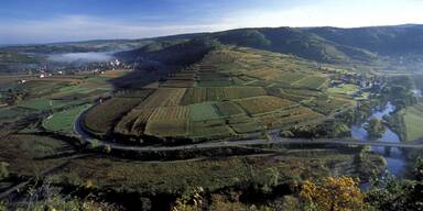 "Schönberg als Windkraftberg“: Waldviertler gegen "Ausverkauf ihrer Heimat“ 