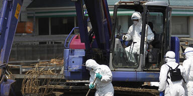 Vermisstensuche in Fukushima hat begonnen