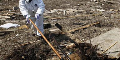 Vermisstensuche in Fukushima hat begonnen