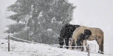 Wintereinbruch in Salzburg 