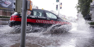 w014.jpg