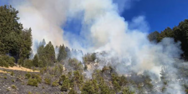 Erstes Bundesland verhängt Feuerwerkverbot