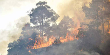 waldbrand-zypern.jpg