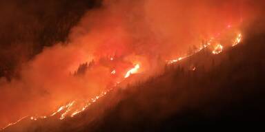 Feuer-Drama: Acht Hektar Wald stehen in Flammen