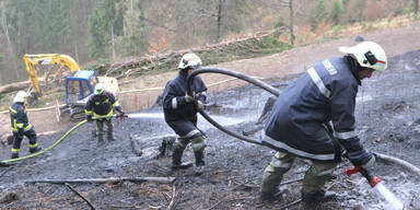 waldbrand.jpg