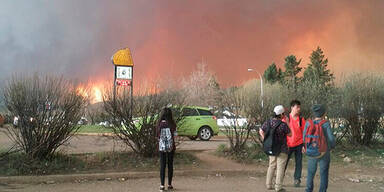 waldbrand92.jpg