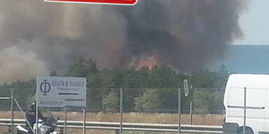 waldbrand_1.jpg