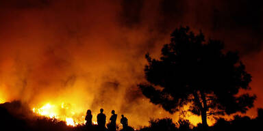 waldbrand_ap.jpg