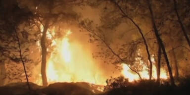 waldbrand_griechenland.jpg