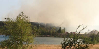 waldbrand_wrneustadt.jpg