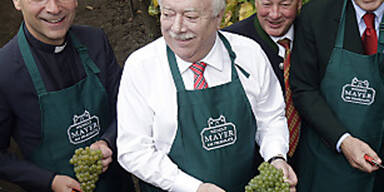 wein4.jpg