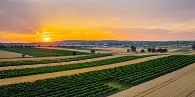 Weinviertel soll Kurzurlaubern schmackhaft gemacht werden