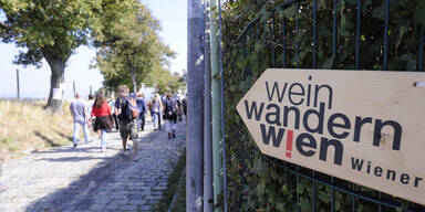 weinwandern.jpg
