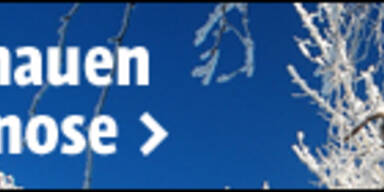 wetterat.jpg