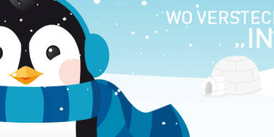 Pingu Gewinnspiel 2013 Header