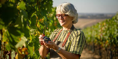 wienerberger PTH 38 Plan_Weingut Dorli Muhr_c Andreas Hafenscher (5).jpg