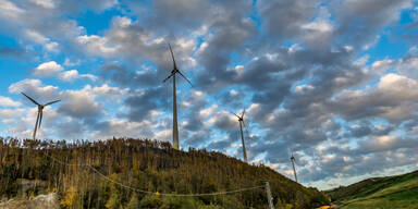 Nach Windkraft-Rückschlag: Update Energiewende