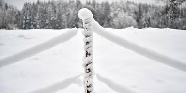 winter34.jpg