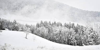 winter4.jpg
