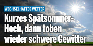 wtter.jpg